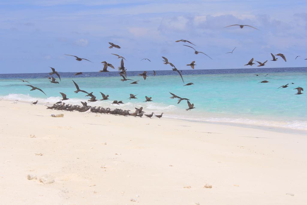 Hanifaru Stay Kendhoo Exterior photo